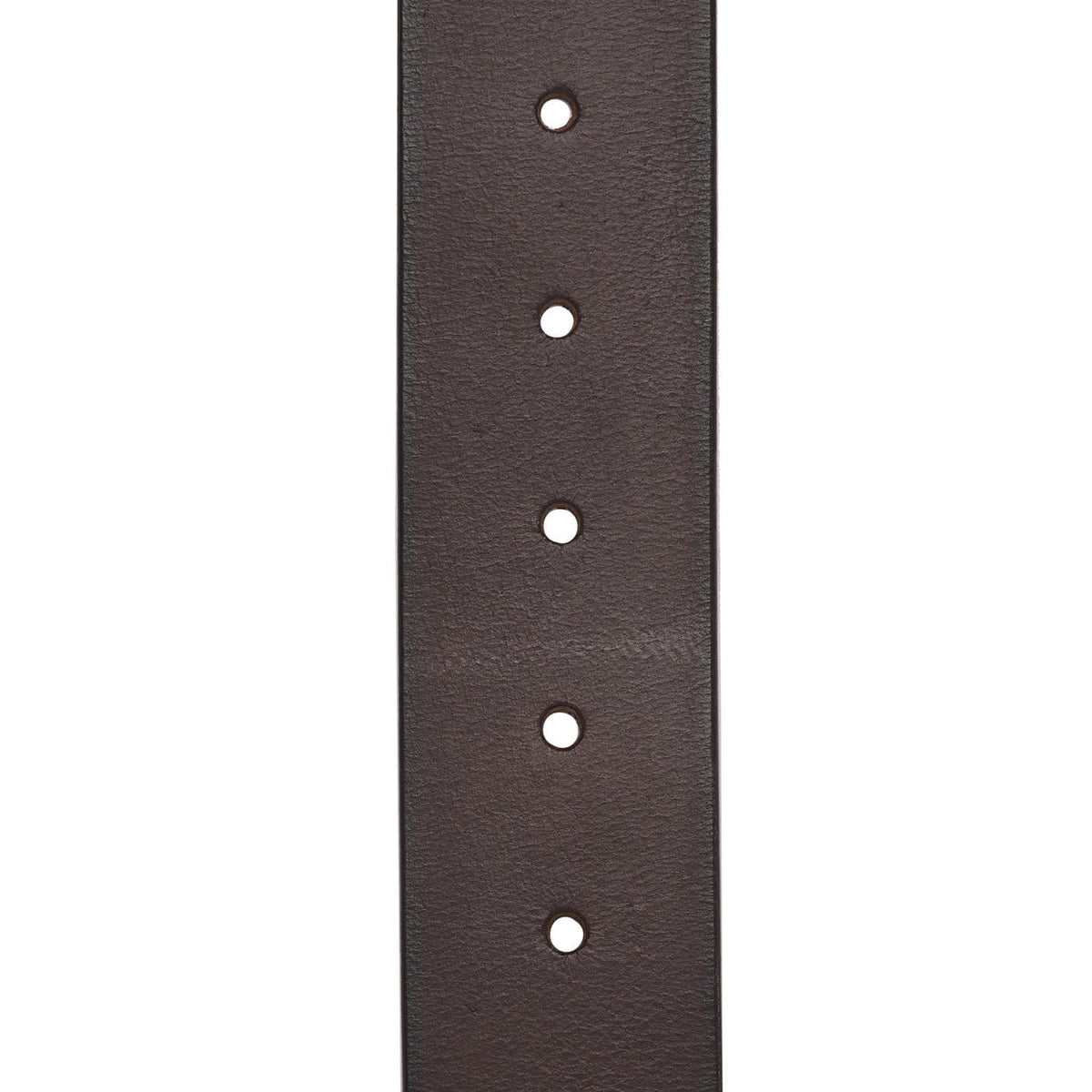The Chesterfield Brand - Aayden Bälte